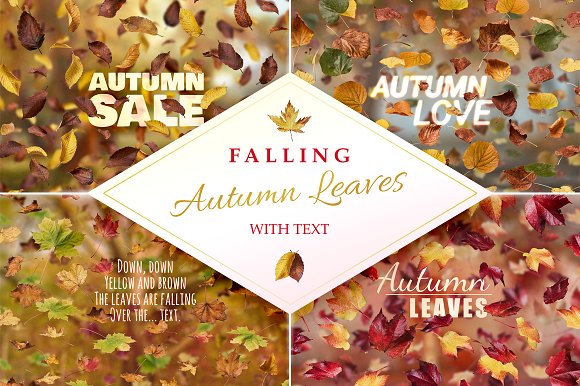 Falling Autumn Leaves With Text