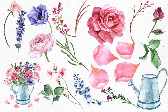Watercolor Roses Clipart