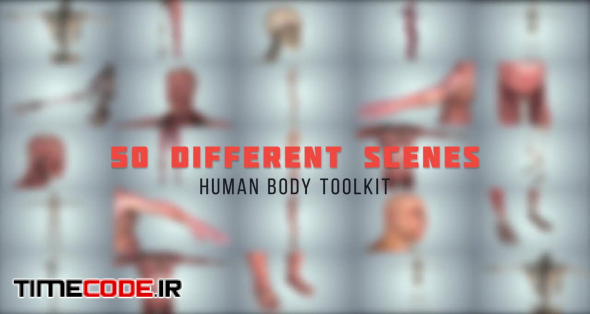 Human Body Toolkit