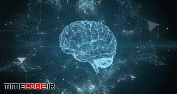 Plexus Tech Around Human Brain