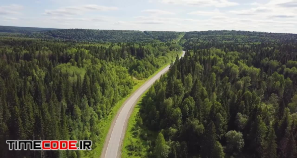 Car Driving Along The Forest Road