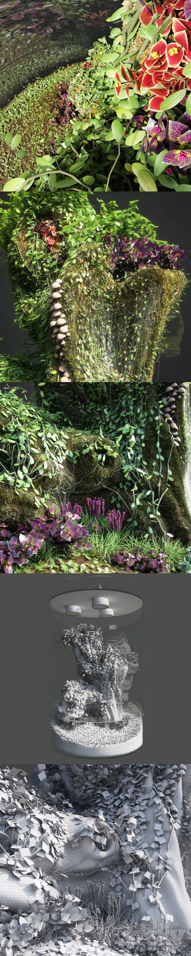 Dwarf Florarium