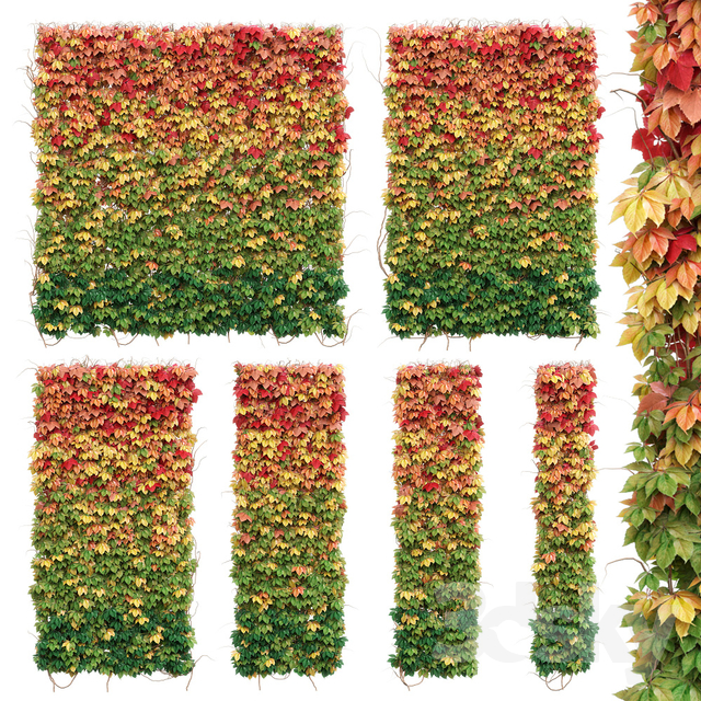 Wall From Autumn Leaves. Set Of 6 Models