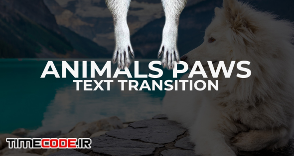 Animals Paws - Text Transitions