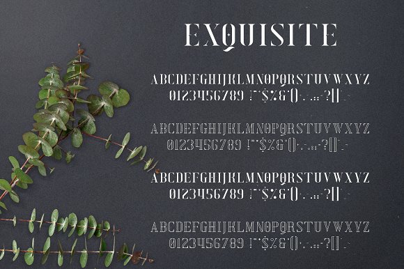 Exquisite - Serif Typeface|4 Styles