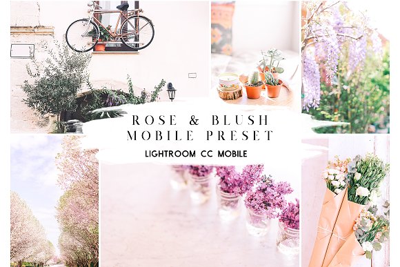 Rose & Blush Blogger Mobile Preset