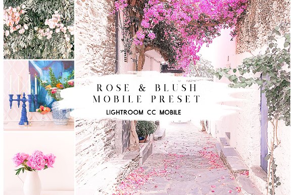 Rose & Blush Blogger Mobile Preset