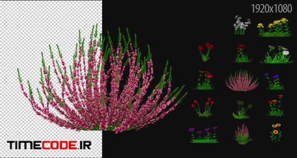 3D Flowering Plants Pack 02