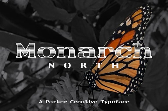 ★ Monarch North ★ Line Hatch Font