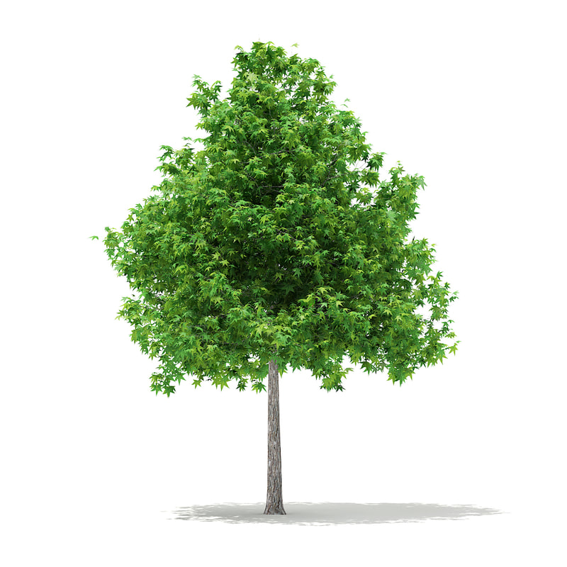 دانلود مدل آماده سه بعدی درخت