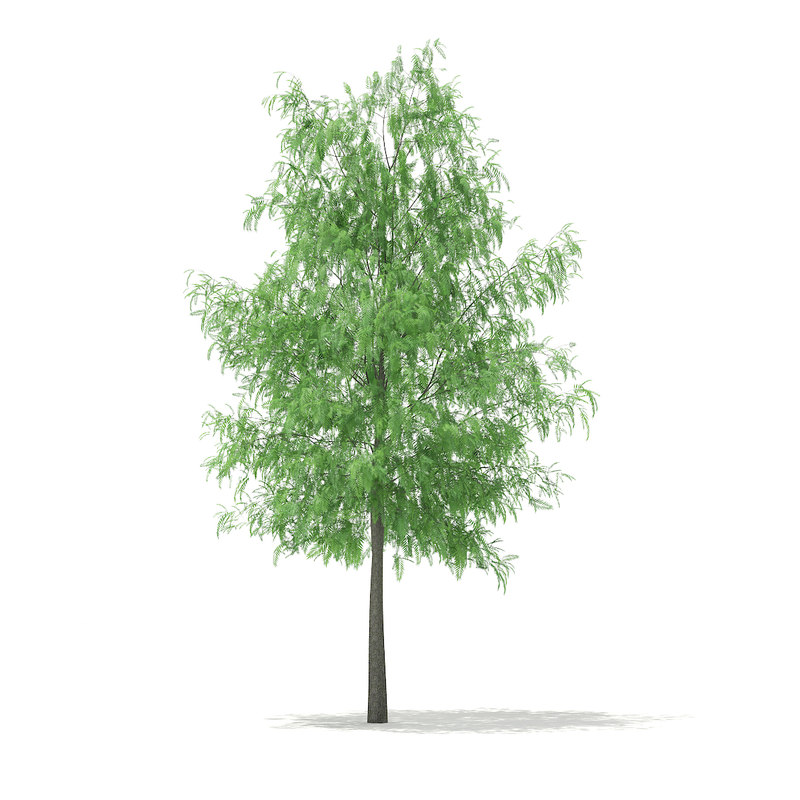 دانلود مدل آماده سه بعدی درخت