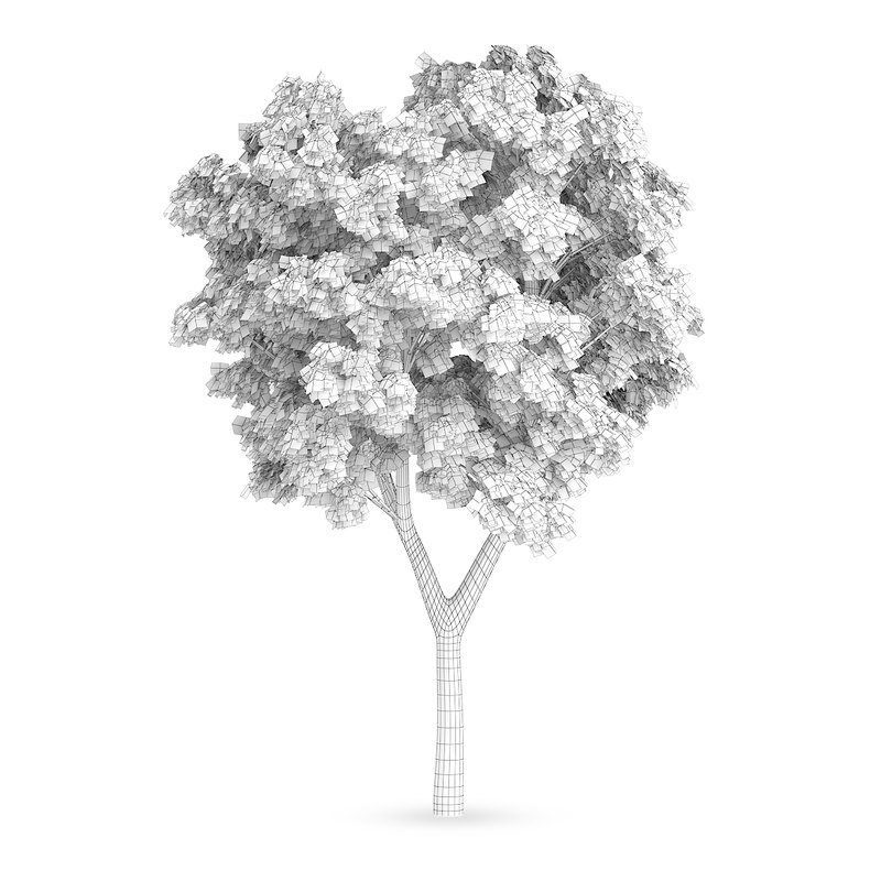 CGAxis Models Volume 62 3D Trees VI