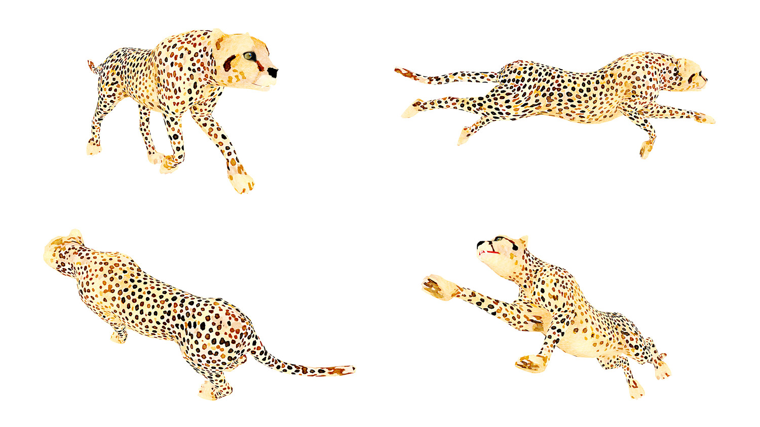Africa Animal Illustration Animated Part 2