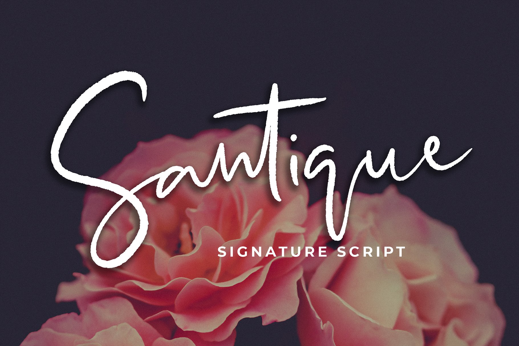 Santique Signature Script Font