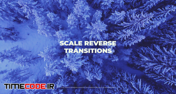 Scale Reverse Transitions