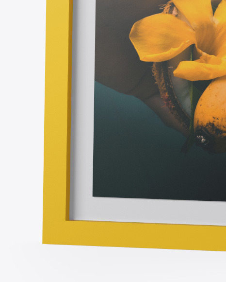 Matte Photo Frame Mockup in Stationery Mockups on Yellow Images Object Mockups