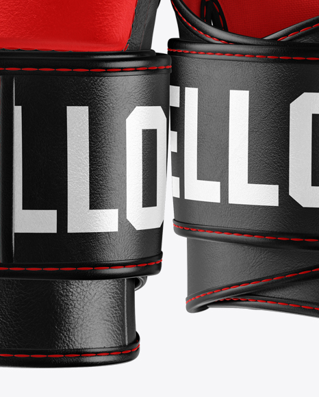 Download دانلود موکاپ دستکش Two MMA Gloves Mockup 21823 - تایم کد ...