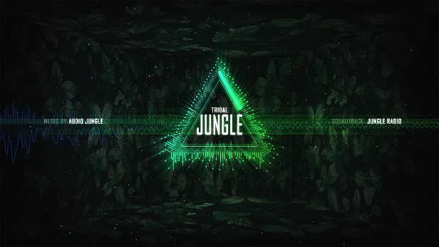  Audio Spectrum 1 