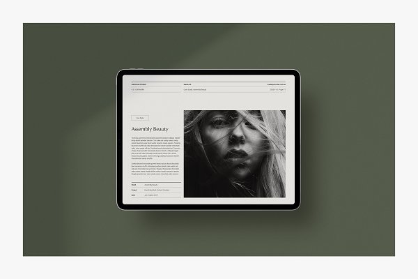 ODESSA / Media Kit | Creative InDesign Templates