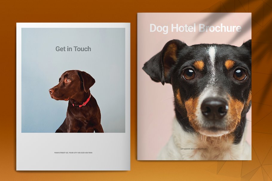 Dog Hotel Brochure Template | Creative InDesign Templates