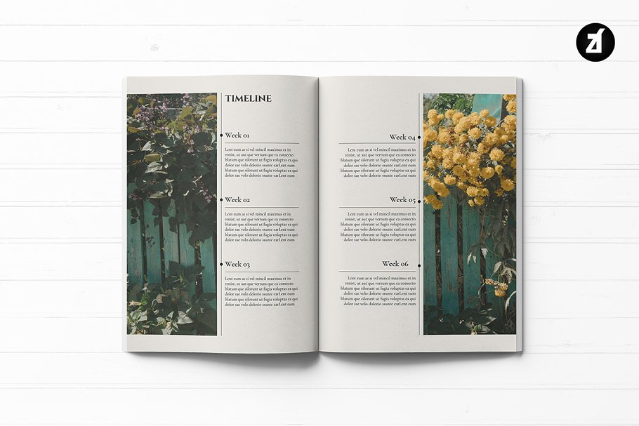 Atmos Multi-purpose Book | Creative Illustrator Templates