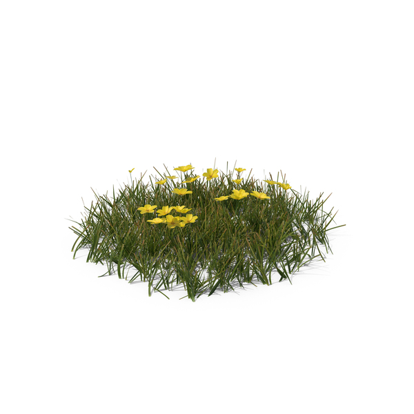  Spring Meadow Collection PNG & PSD Images 