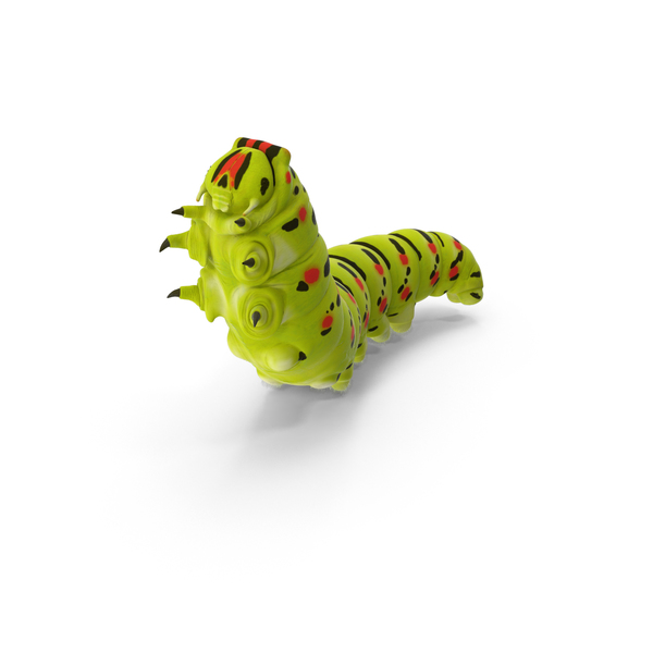  Creepy Crawlies Collection PNG & PSD Images 