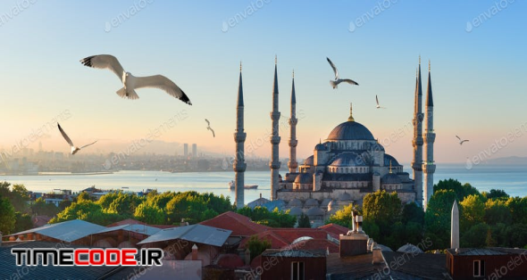 Mosque And Bosphorus In Istanbul