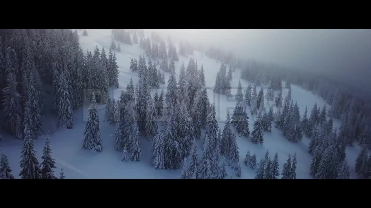 Winter Trailer