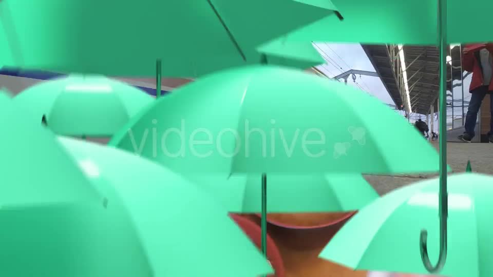 Umbrella Colorful Transition