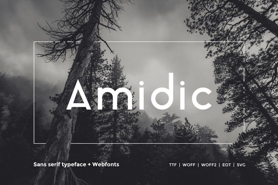 Amidic - Modern San-serif Typeface + WebFont