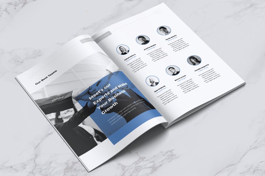 HEXA Professional Company Profile Brochures