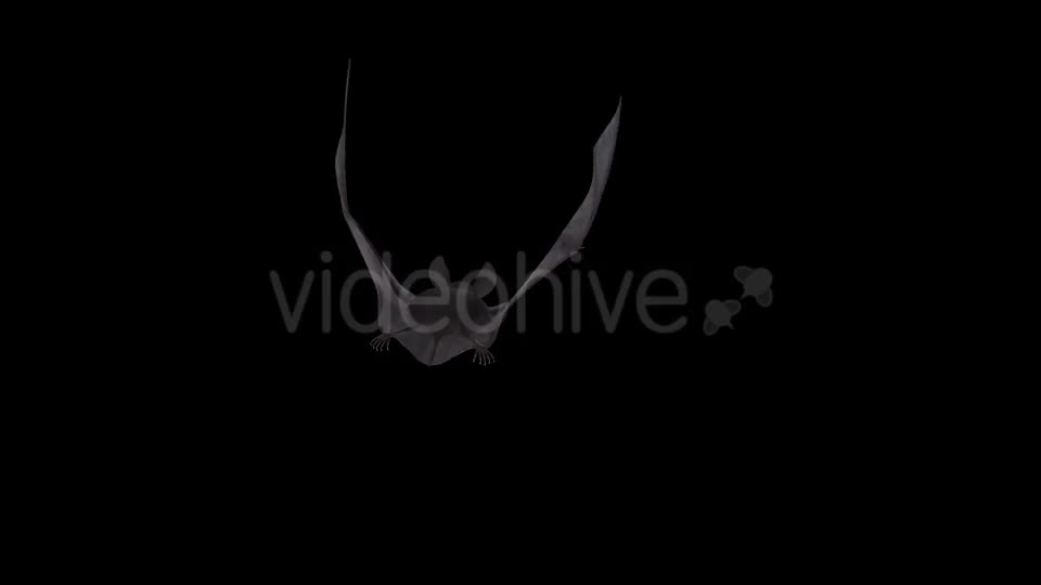 Vampire Bat - Flying Cycle - Back Side - 4K
