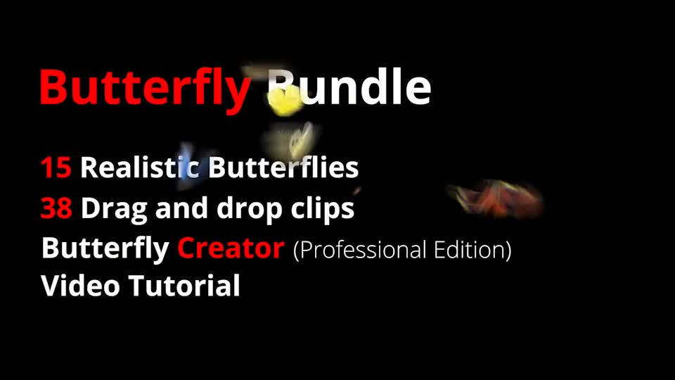  Butterfly Bundle 