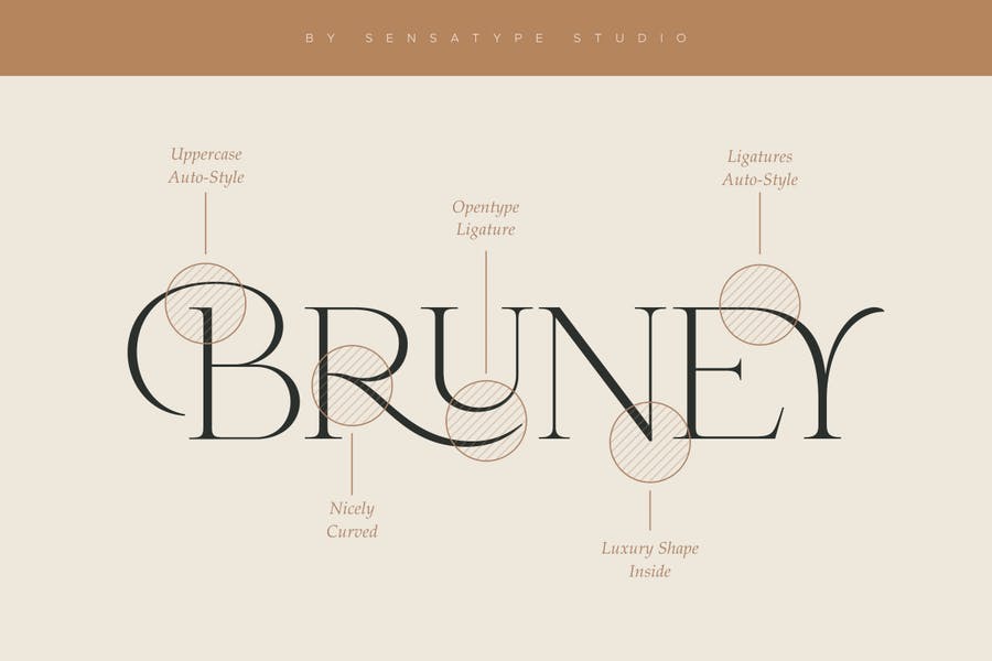 دانلود فونت انگلیسی گرافیکی Bruney Classy Ligature Font – تایم کد