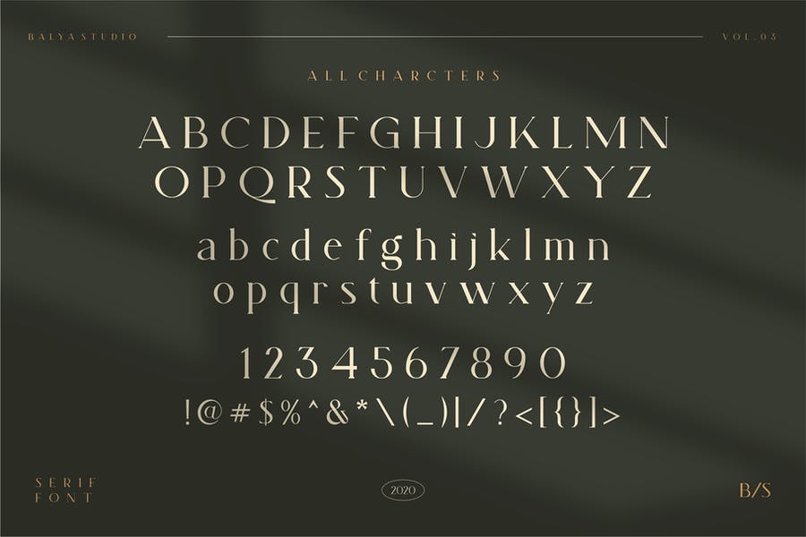 Magnita Serif Font