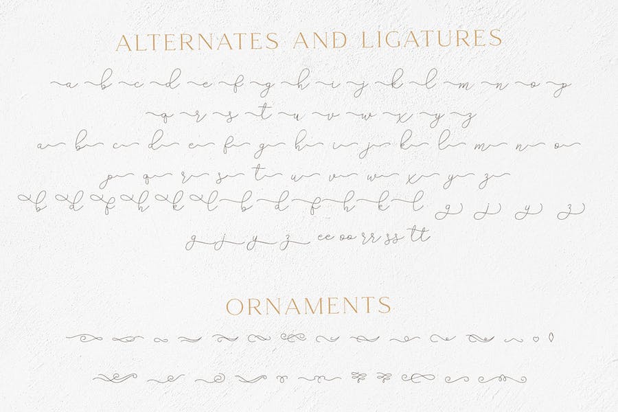 Gamour - Elegant Serif Font