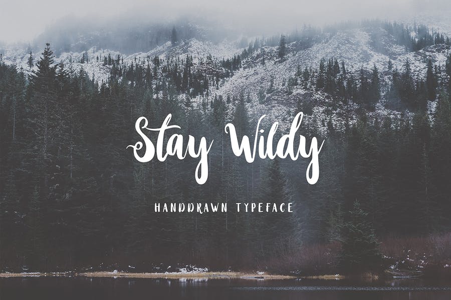 Stay Wildy