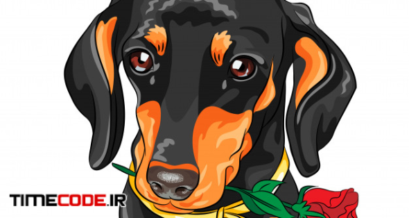 Vector Dog Dachshund With Red Flower 