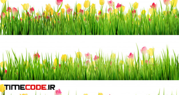 Beautiful Easter Border With Grass And Flowers. 
