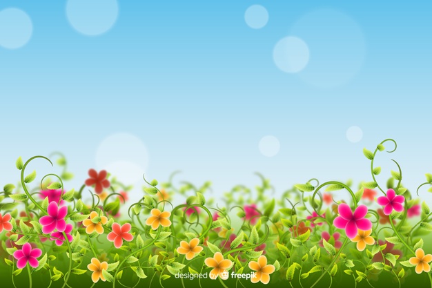 Colorful Field Flowers Background 