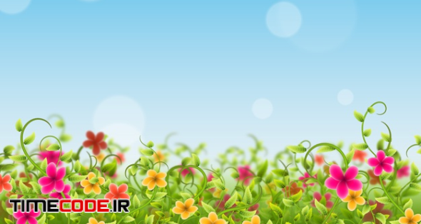 Colorful Field Flowers Background 